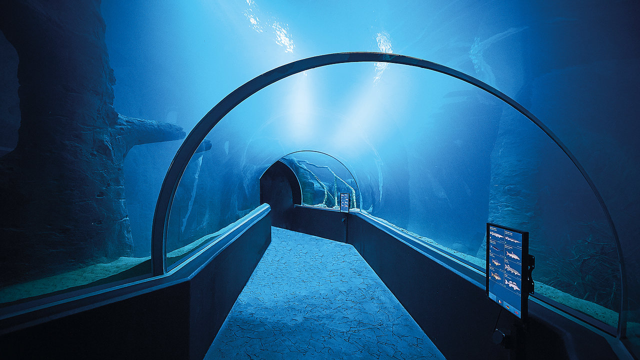 photo tunnel Aquatis