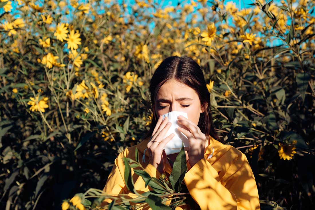 allergies au pollen
