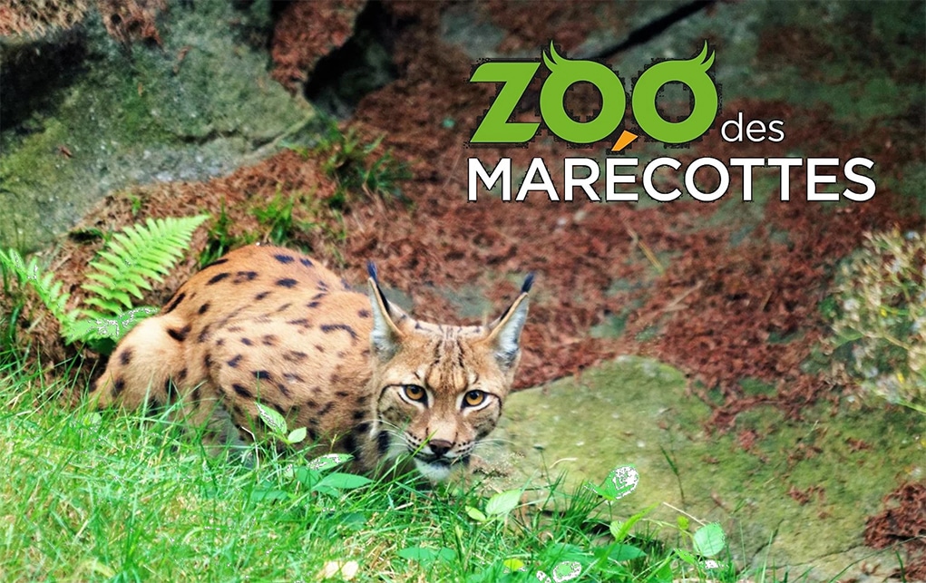 zoo alpin des Marécottes