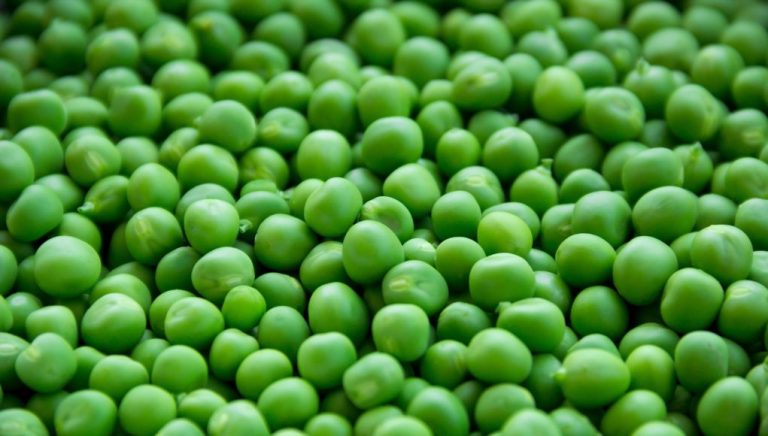 Comment congeler des petits pois ? - Mag-Feminin.ch