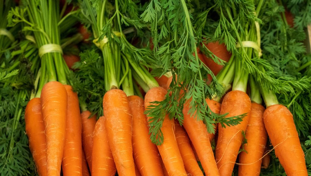 Comment congeler des carottes