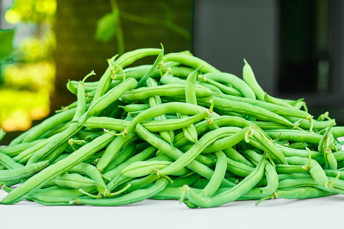 haricots verts